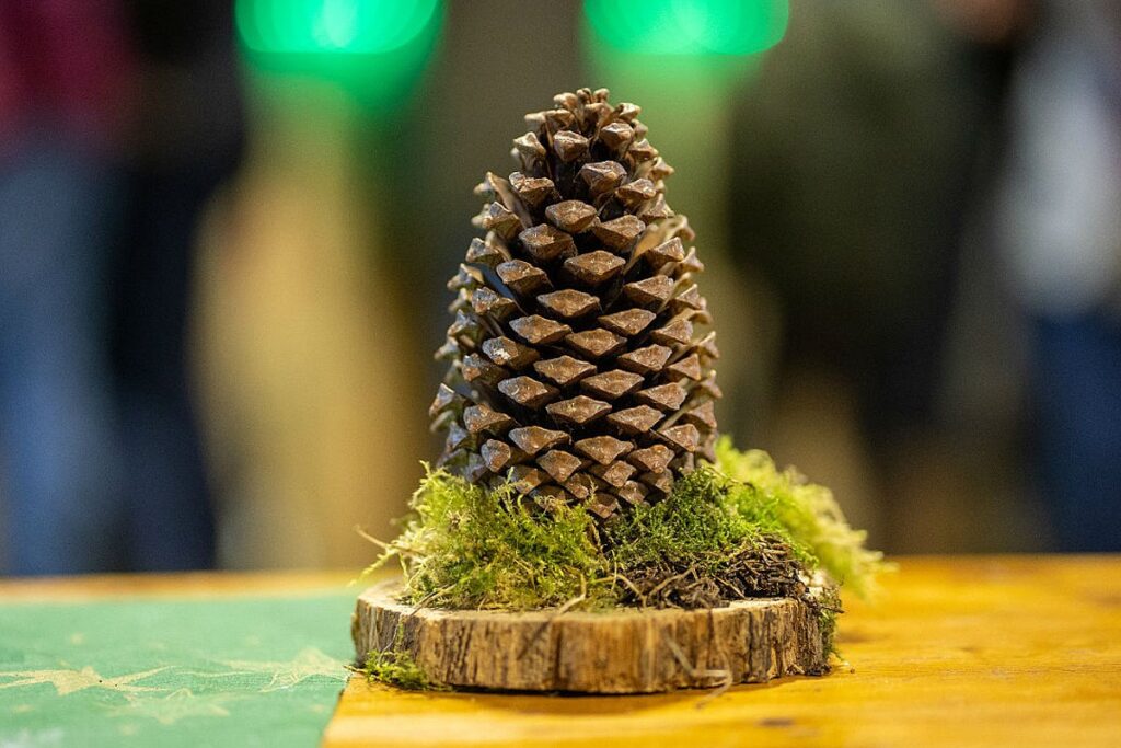 Tannenzapfen Deko